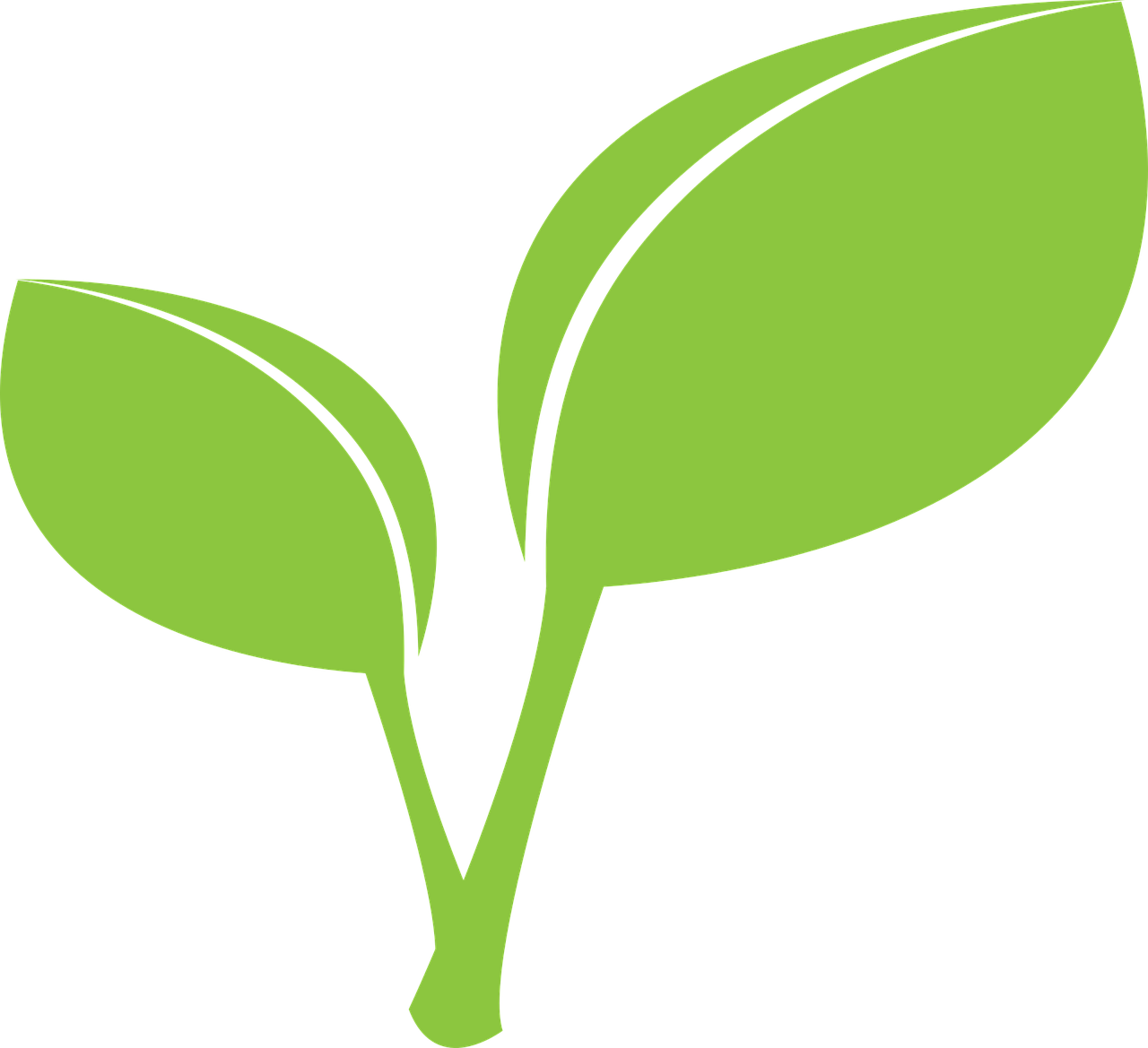 leaf
